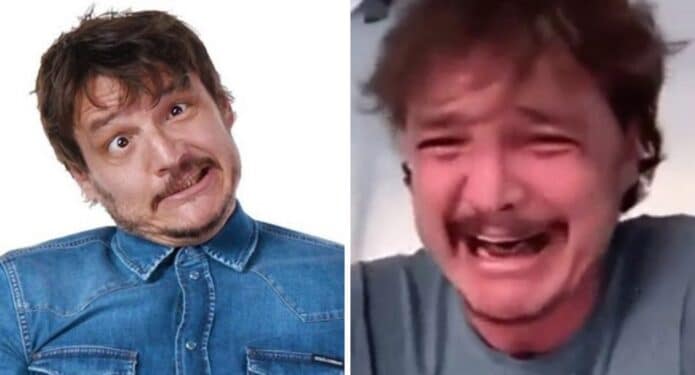 Pedro Pacal mejores memes