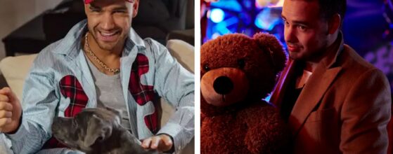 Liam Payne muerte sospechosos imputados