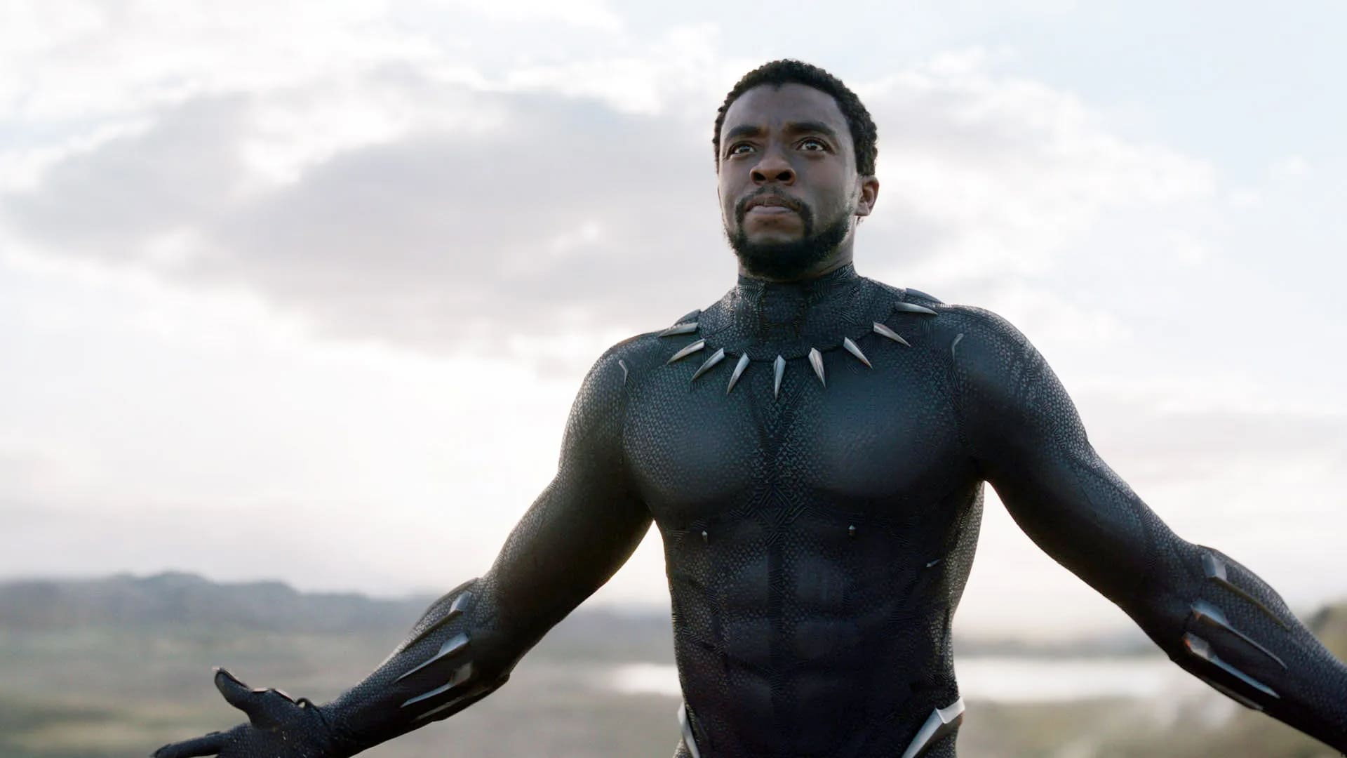 Chadwick Boseman Pantera Negra