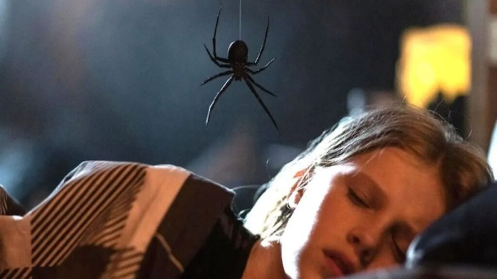 Tráiler, dónde ver y todo sobre Sting: Araña asesina