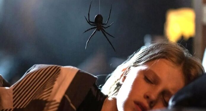sting: araña asesina tráiler