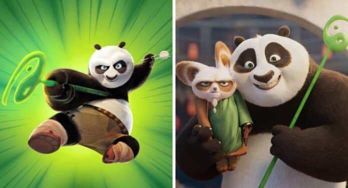 Kung Fu panda 5 planes