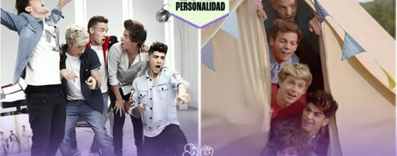 Quiz Directioner