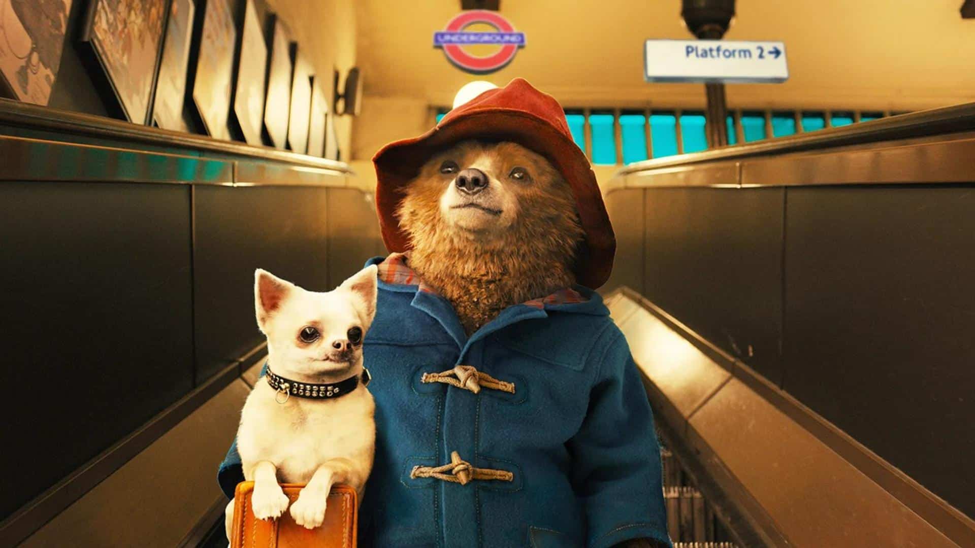 datos curiosos paddington