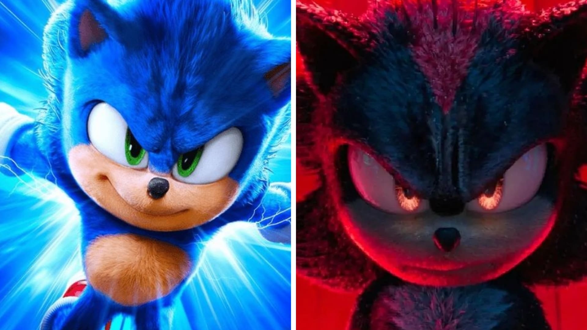 ¿Sonic y Shadow son parientes? ¿Por qué se parecen?