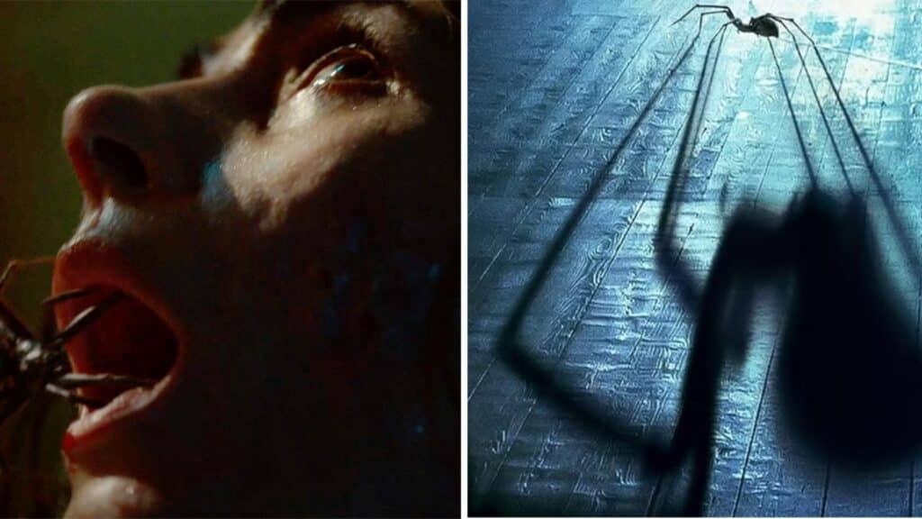¿Por qué ver Sting: Araña asesina?