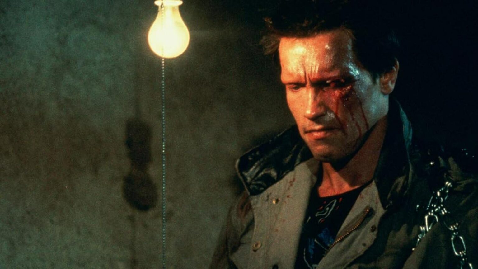 Las 6 mejores películas de Arnold Schwarzenegger - Paloma & Nacho