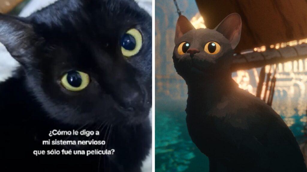 ¿Ama México? Así reaccionó Gints Zilbalodis a los memes de Flow