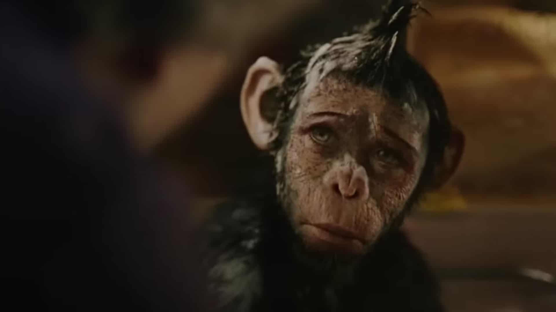 robbie williams como un chimpancé bebé