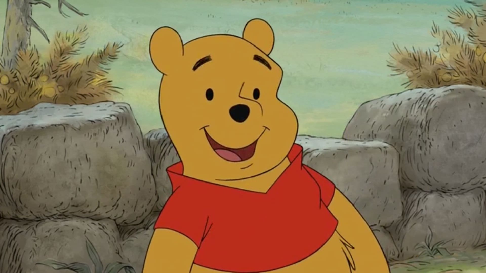 winnie pooh caricatura