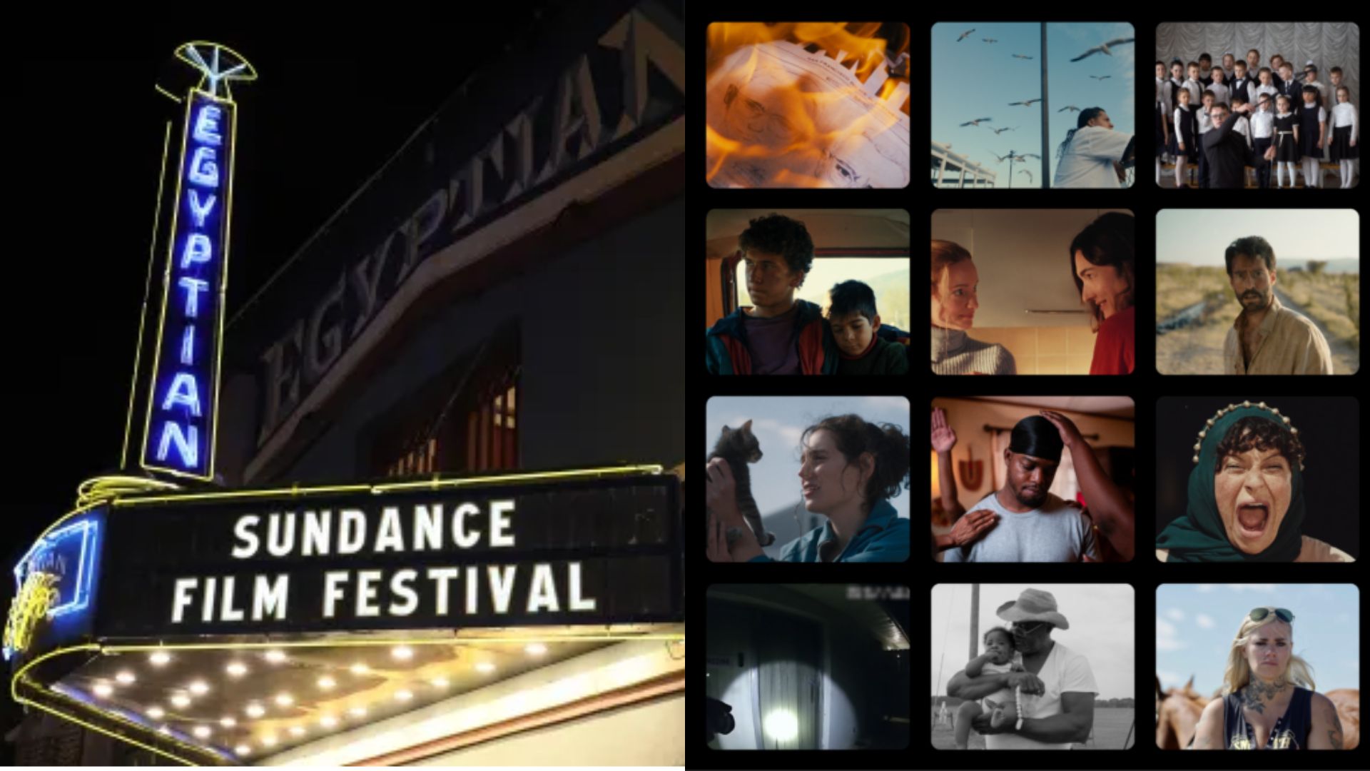 Sundance 2025: Lista completa de ganadores