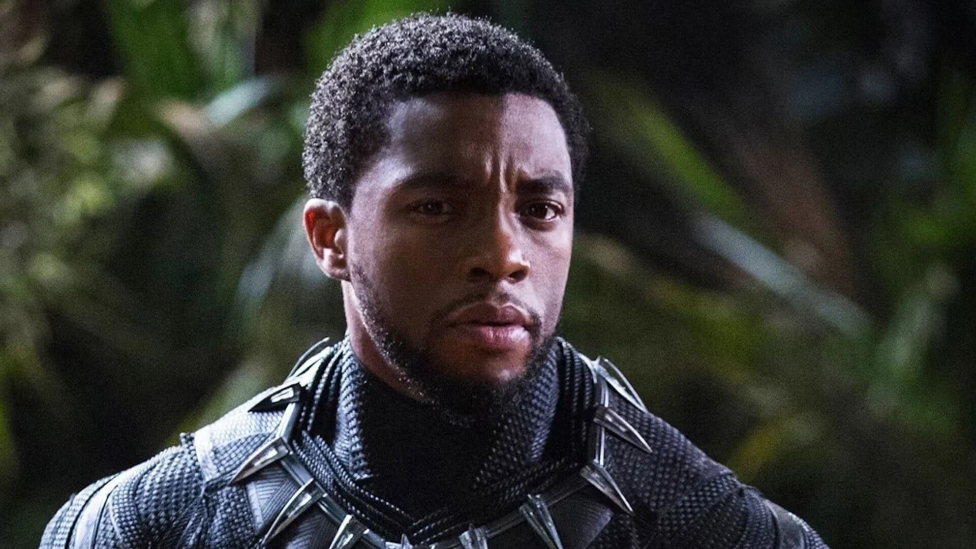 chadwick boseman como black panther