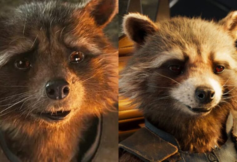 Mejores momentos de Rocket en el MCU