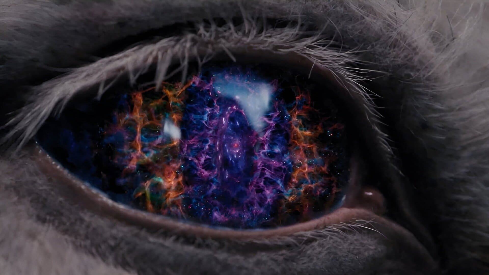 Ojo de unicornio