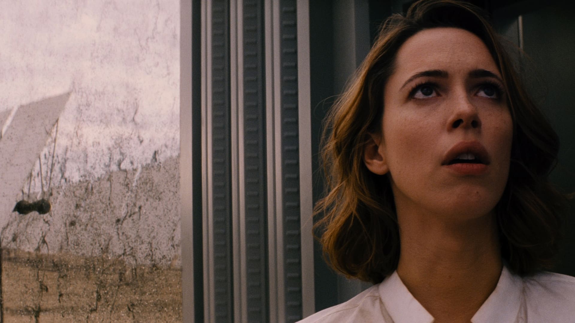 Trascender, Evelyn contempla a Will
