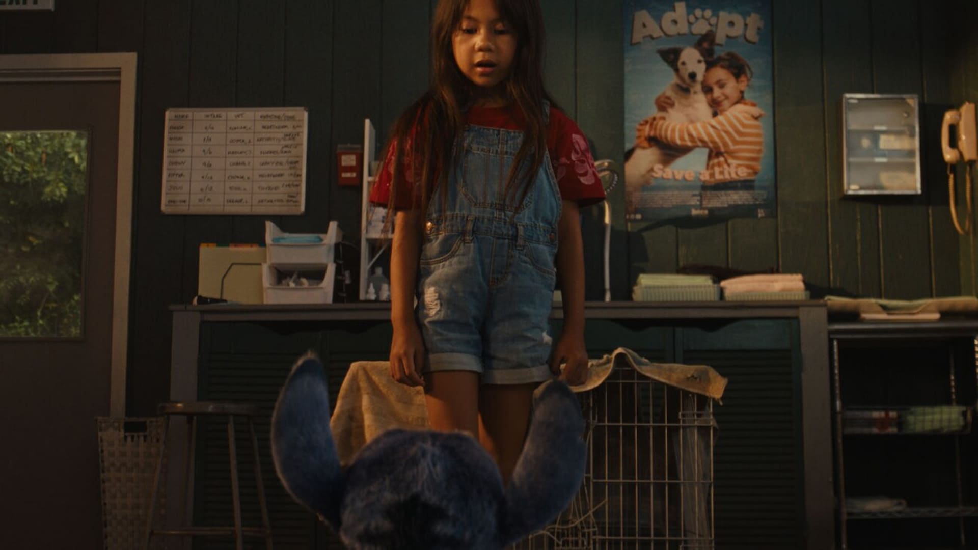 Lilo & Stitch live-action