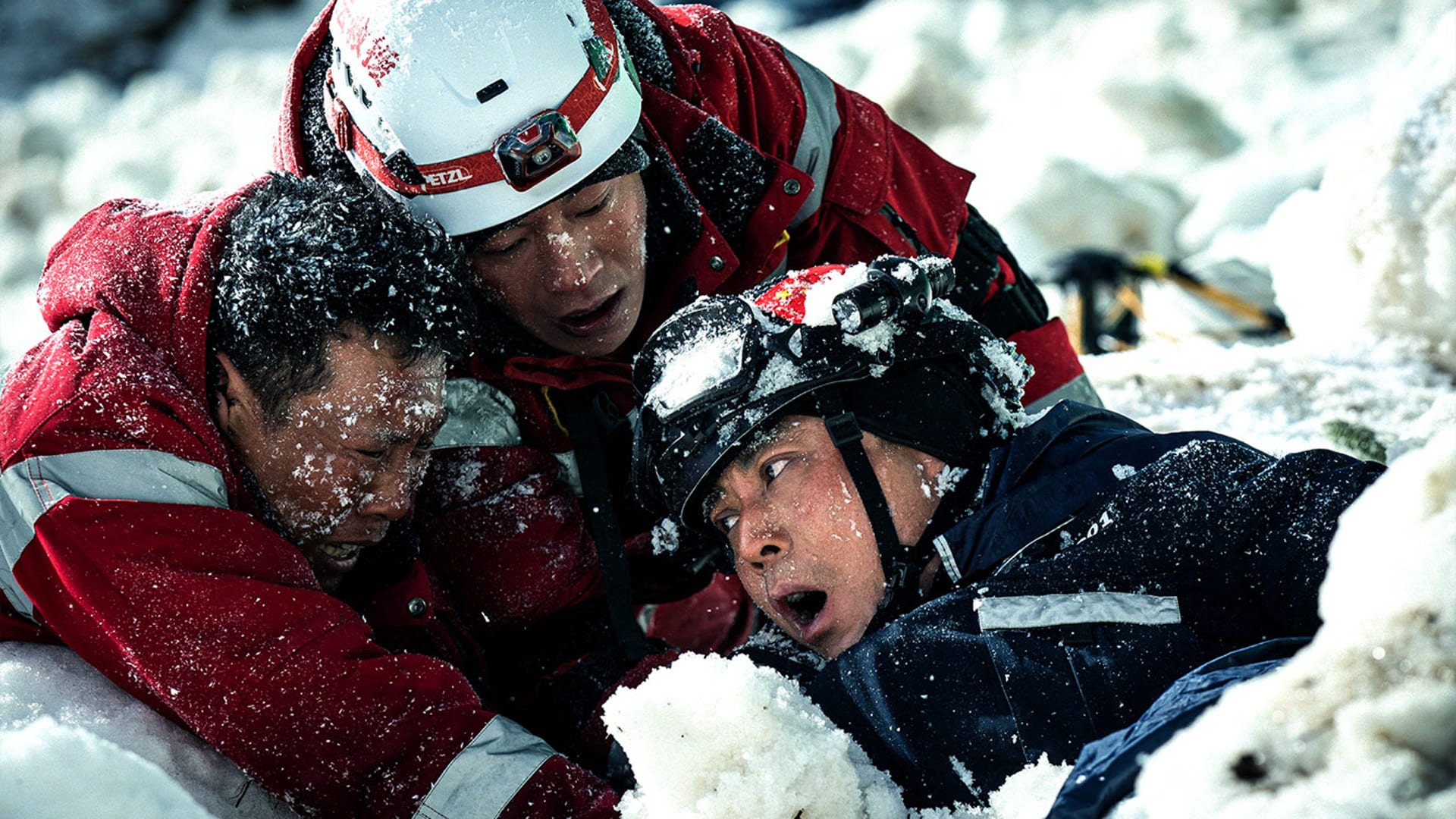 estrenos cinépolis mayo rescate polar