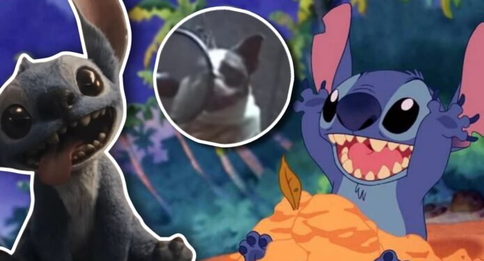 Stitch fue doblado por un perro
