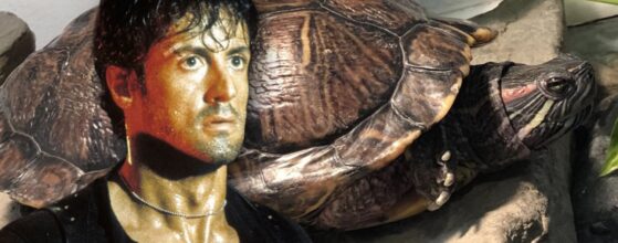 Cliff y Link, las tortugas de Sylvester Stallone