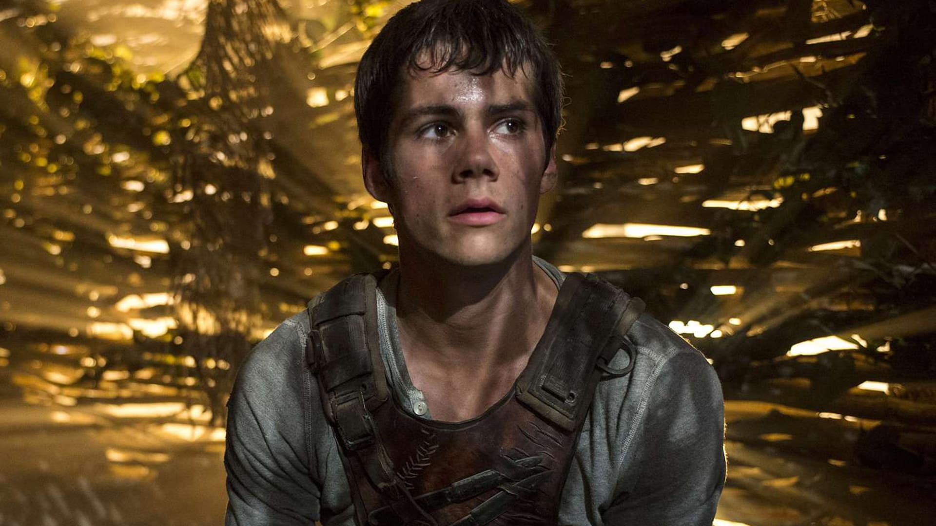 Dylan O'Brien en Maze Runner como Thomas