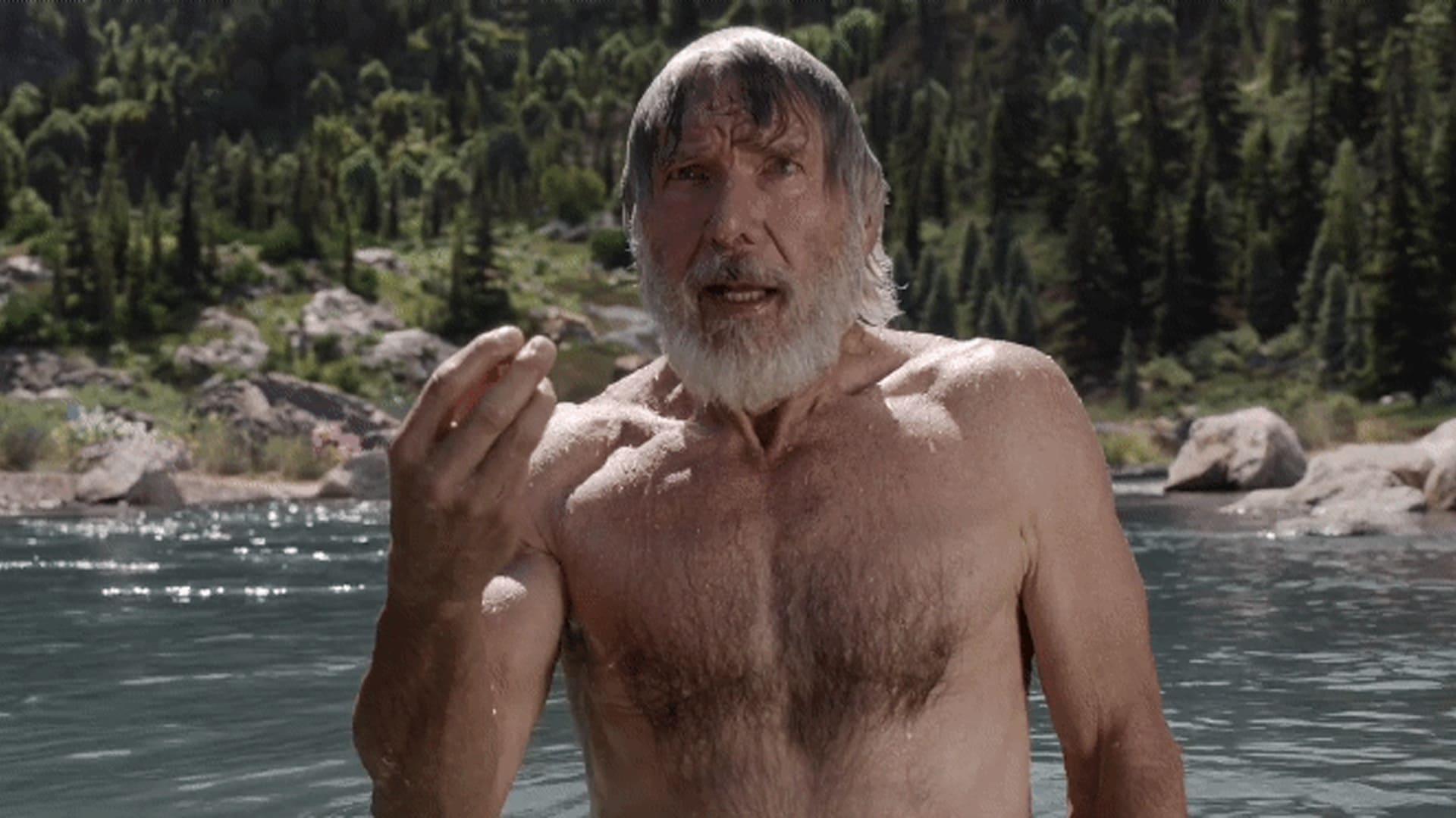 Harrison Ford en El llamado salvaje