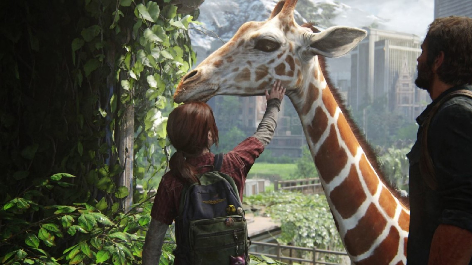 Jirafa The Last of Us