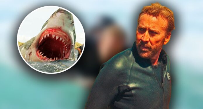 Nicolas Cage ataque tiburón