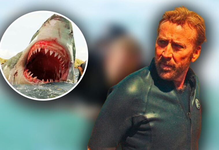 Nicolas Cage ataque tiburón