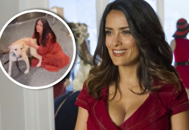 Salma Hayek se hace viral con un video de un perro