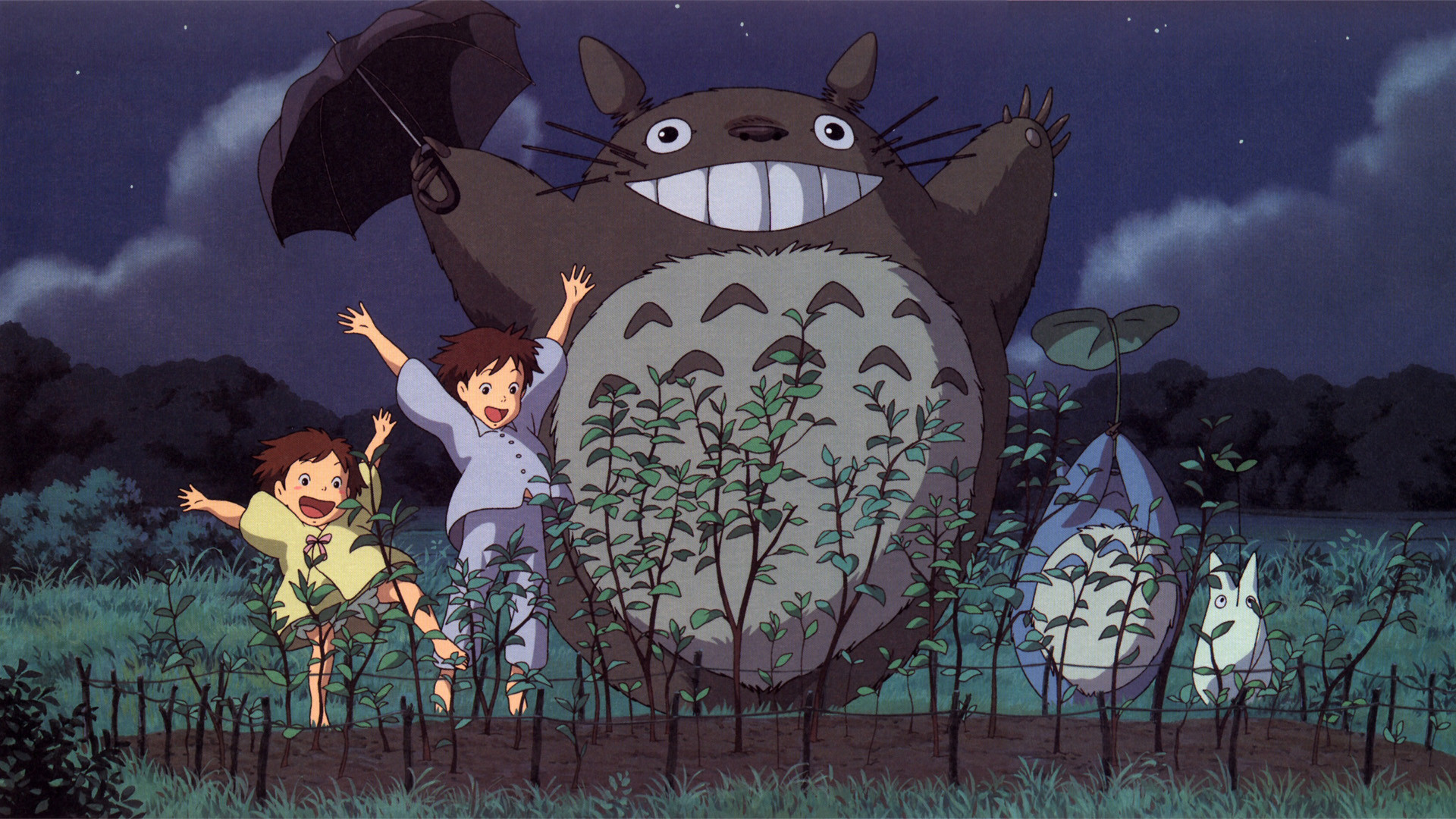 Totoro Wes Anderson
