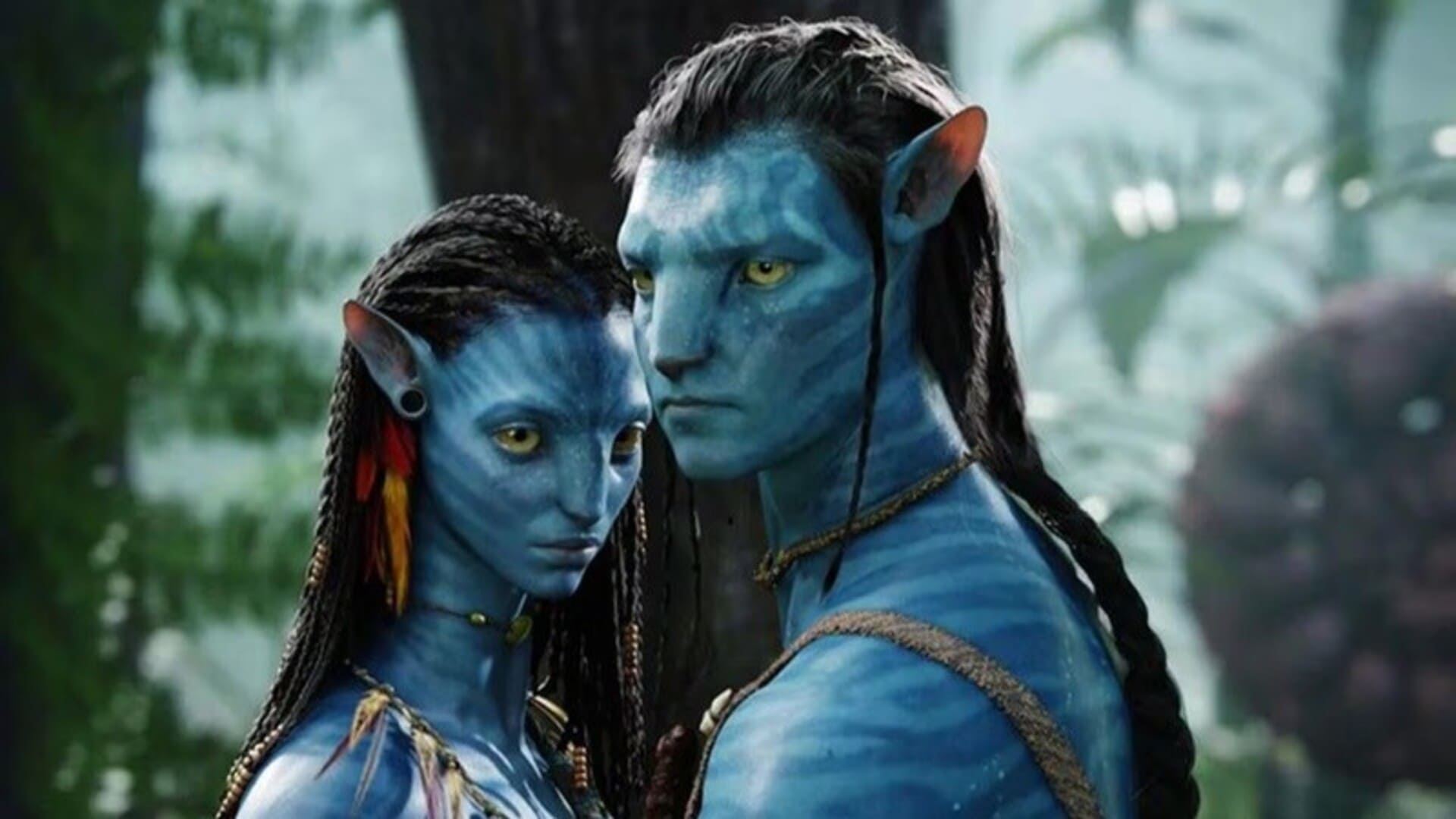 Avatar
