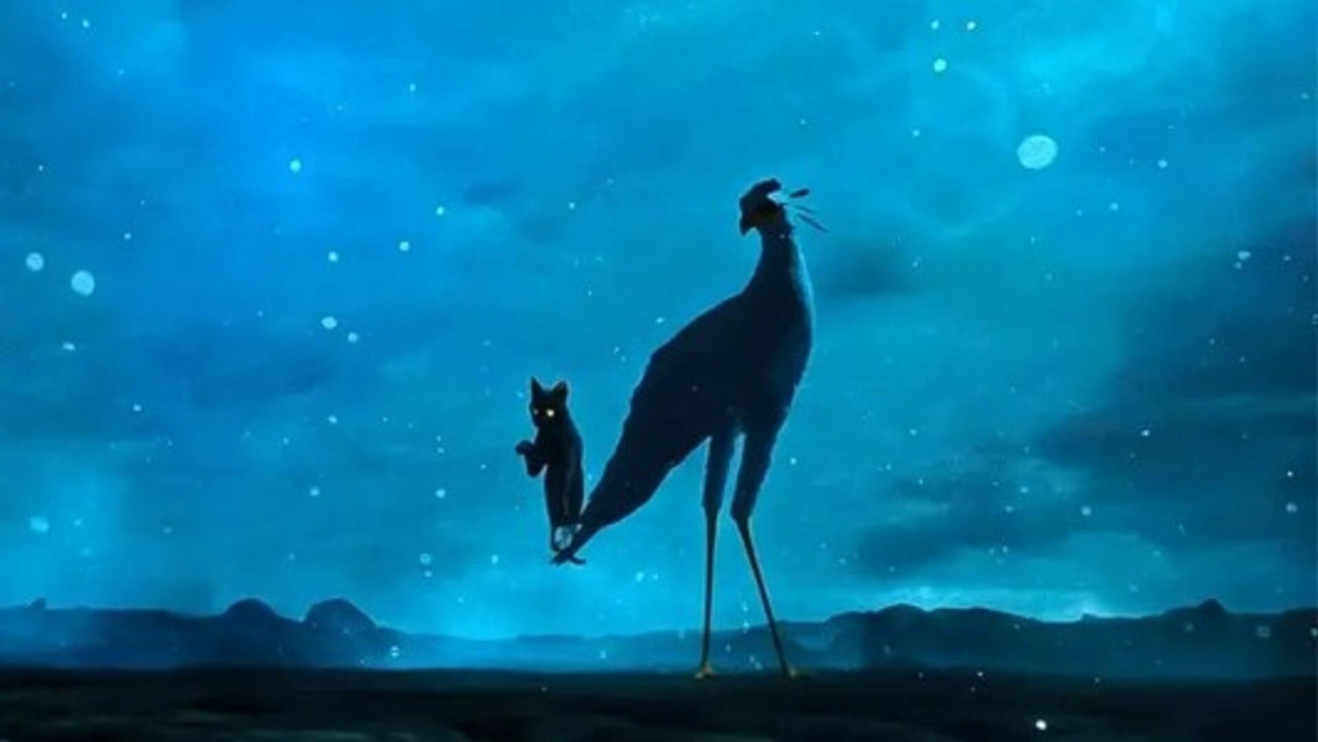 Gato y ave