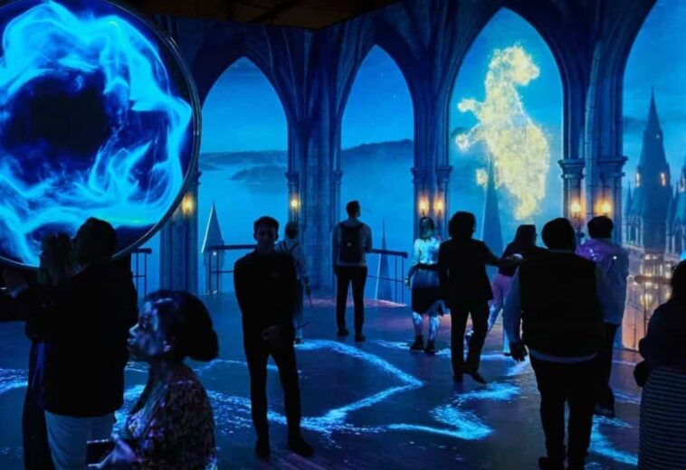 Harry Potter visions of magic