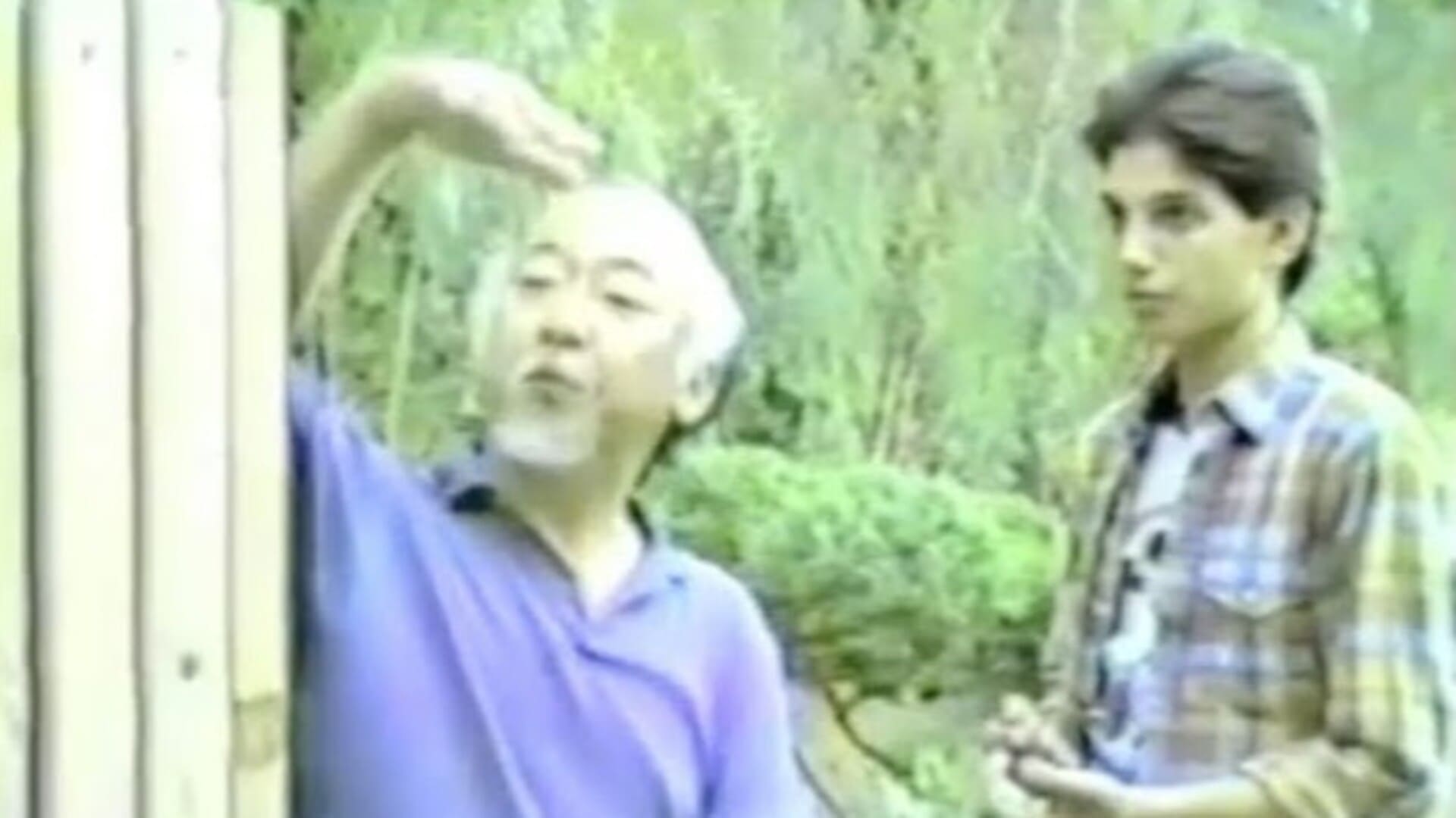 karate kid pelicula pirata