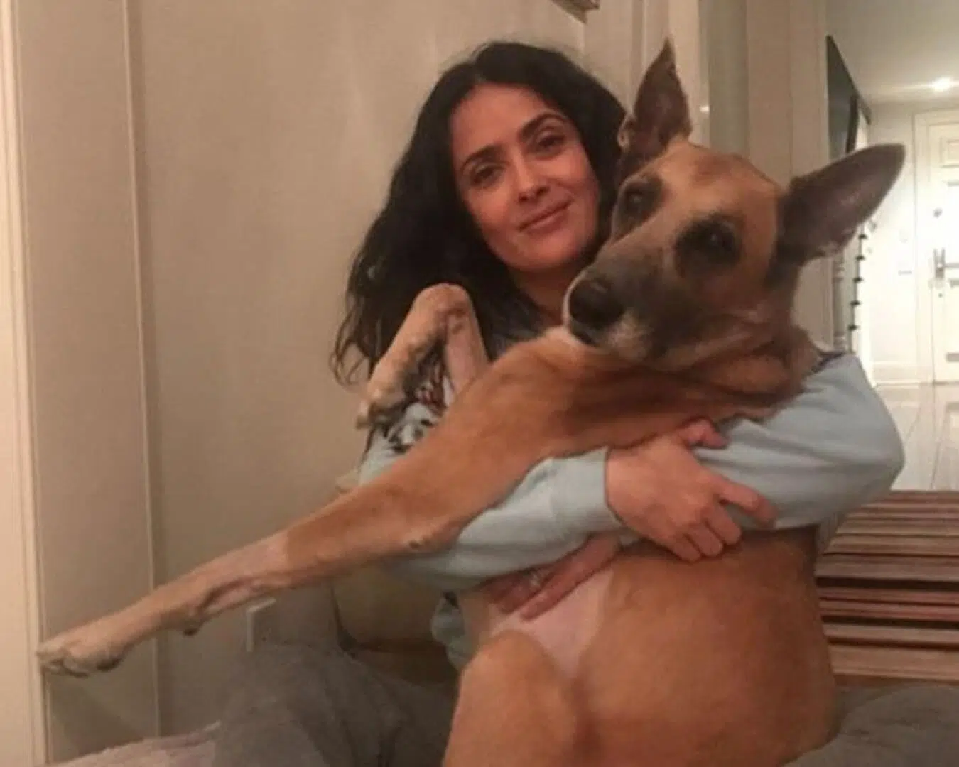 salma hayek con un perro
