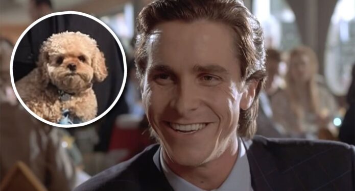 Conoce a Mo, el perrito de Christian Bale