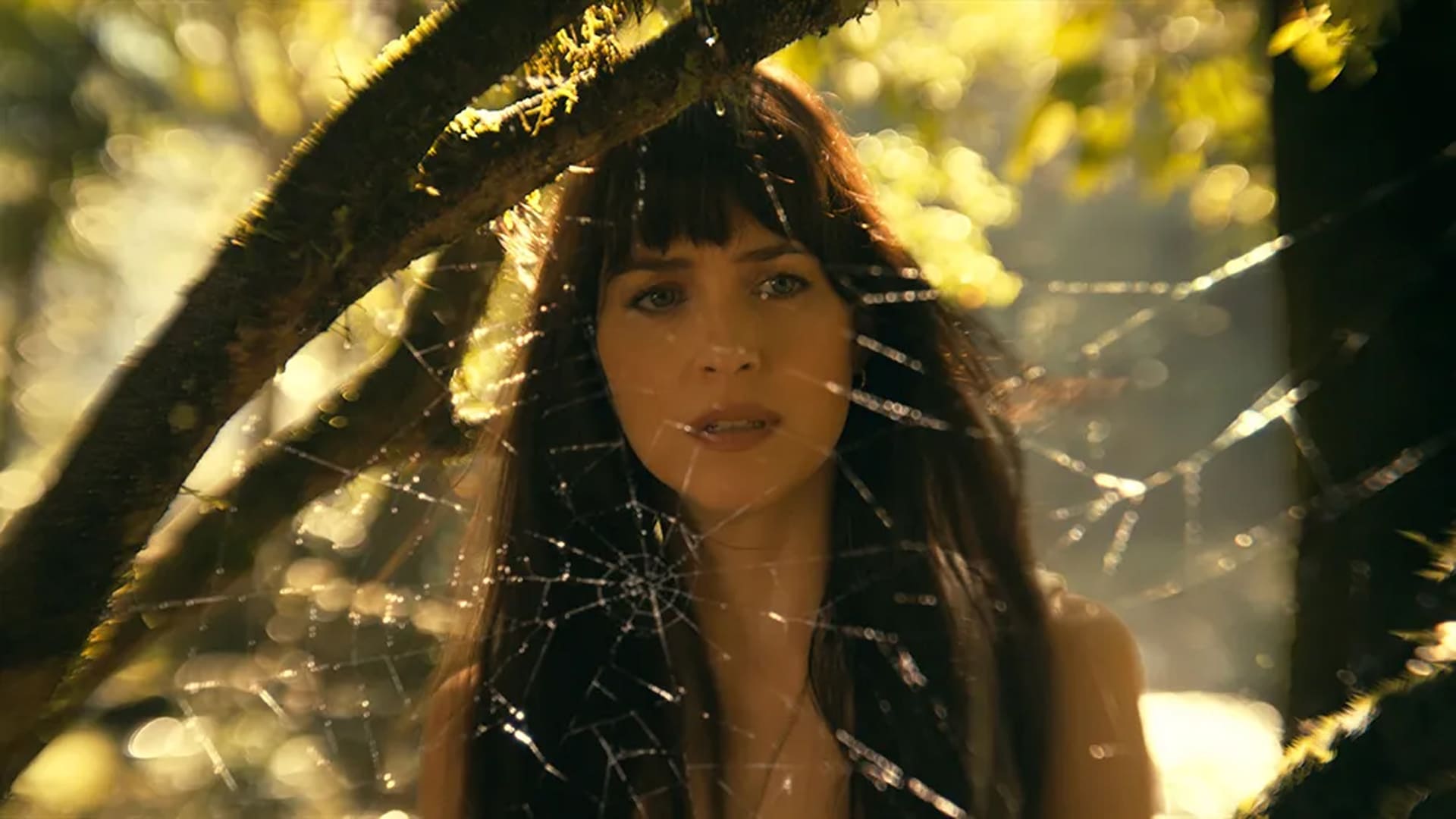 Madame Web telaraña