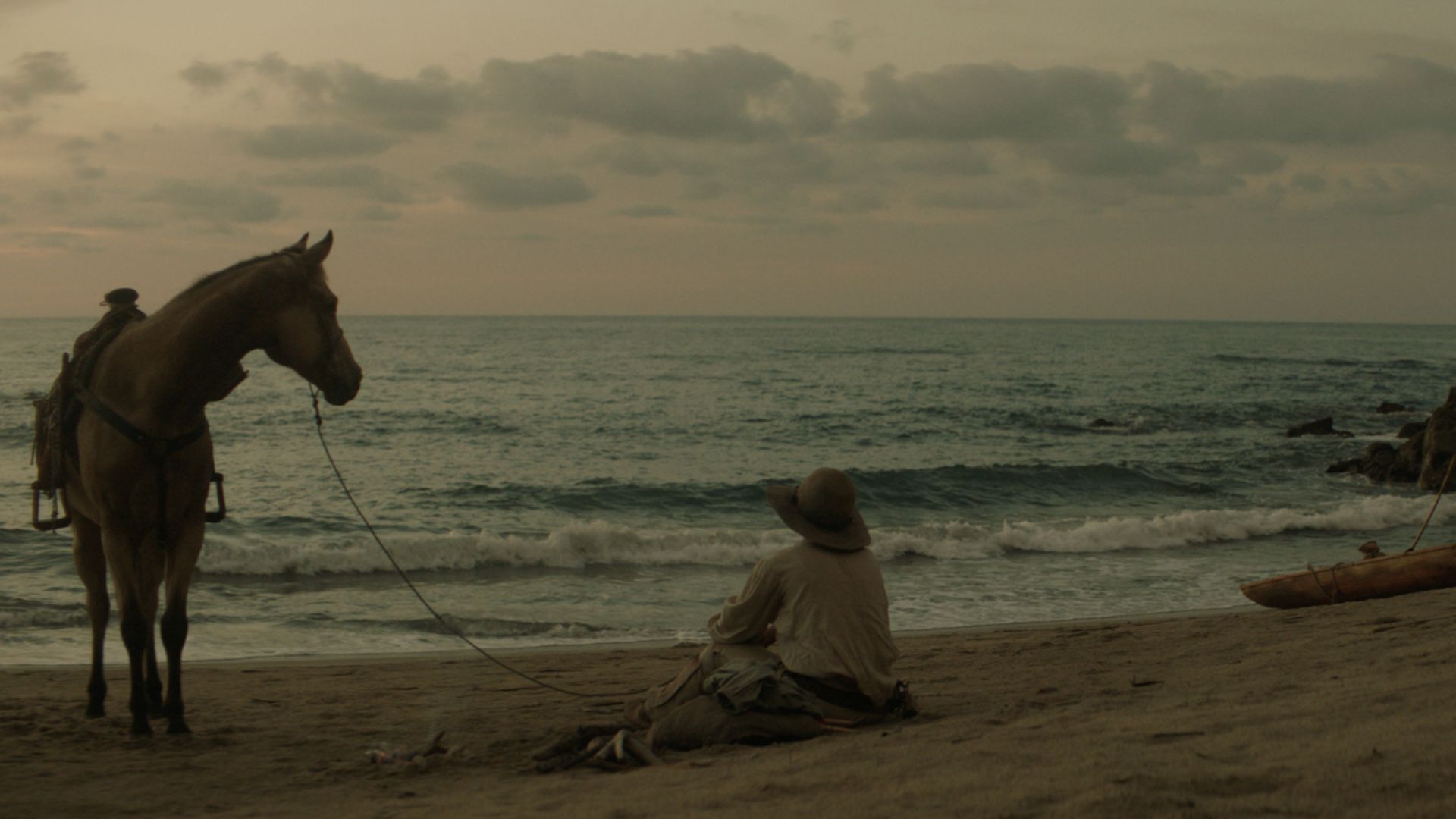 La arriera película caballo mar