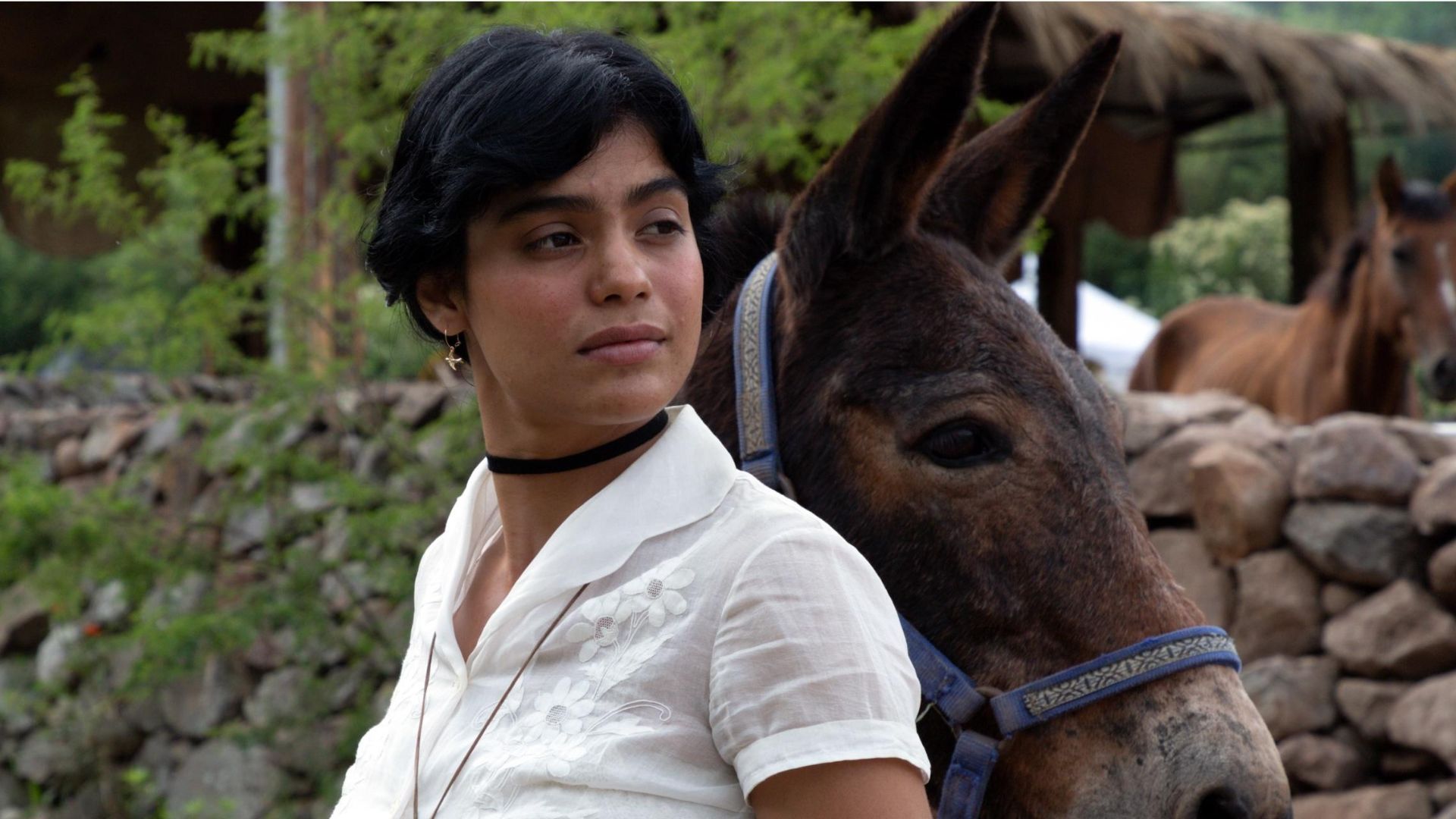 La arriera película mexicana