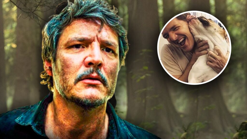 Pedro Pascal perrita