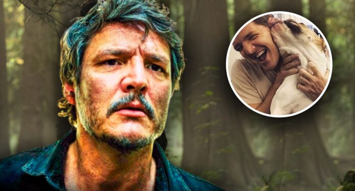 Pedro Pascal perrita