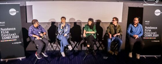 The Virgin of The Quarry Lake Q&A