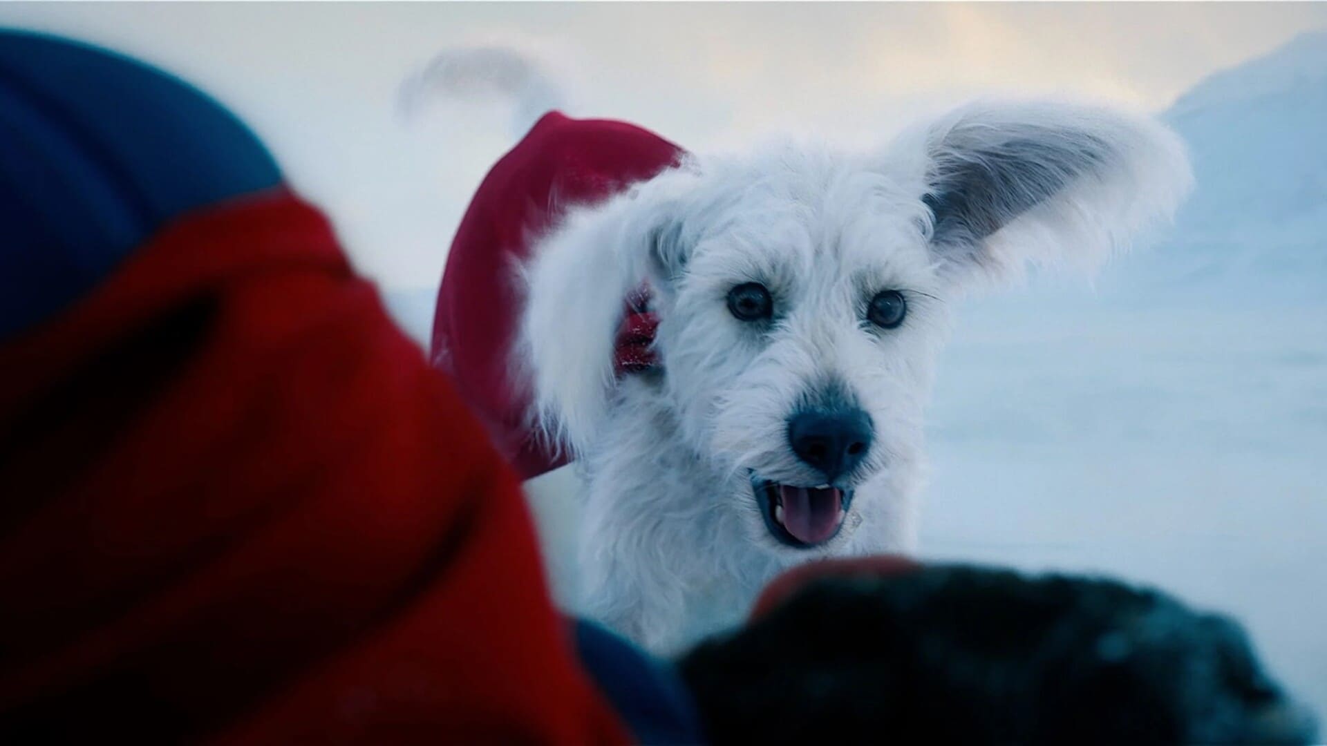 Krypto