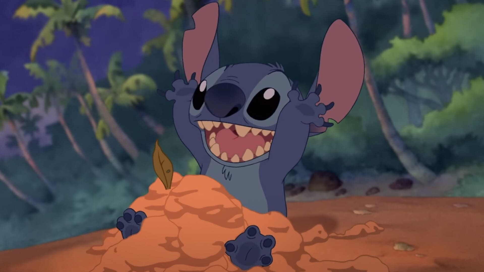 Stitch