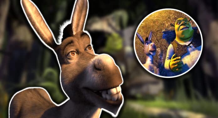 Burro película spin-off