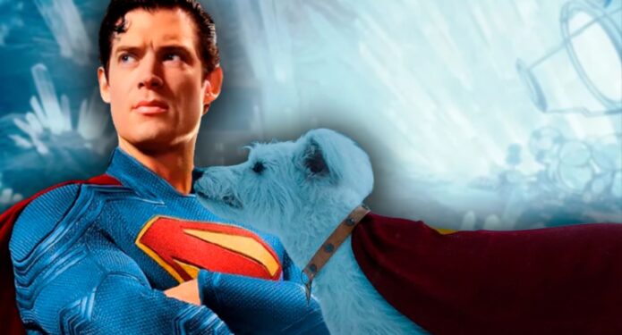 Krypto Superman adopciones