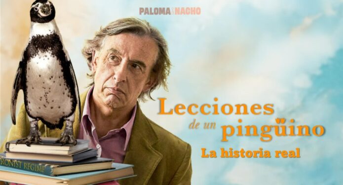 lecciones de un pingüino