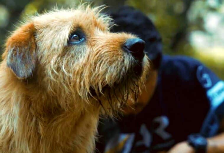 Arthur the king 2024,.movie, arthur Una amistad sin límites