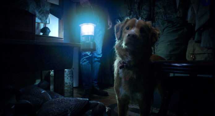 Good Boye película tráiler