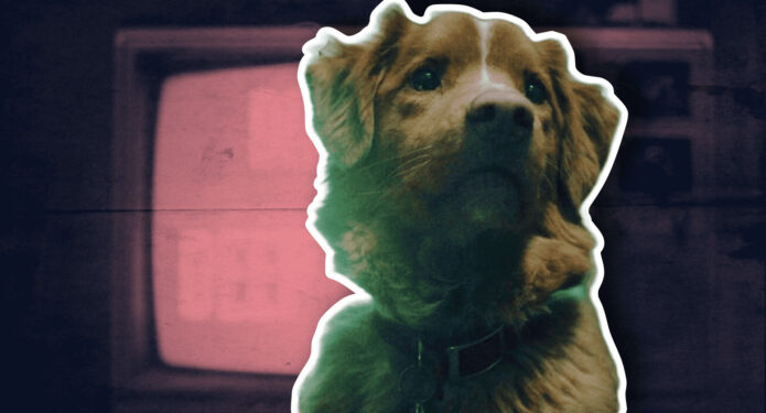 y si el perro muere good boy